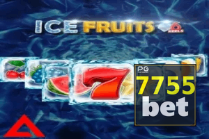7755 BET ajuda online — chat de suporte no aplicativo oficial